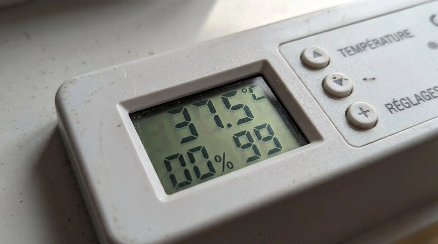 Gros plan d'un panneau de contrôle digital de couveuse affichant la température et le taux d'humidité sur un écran LCD avec boutons de réglage